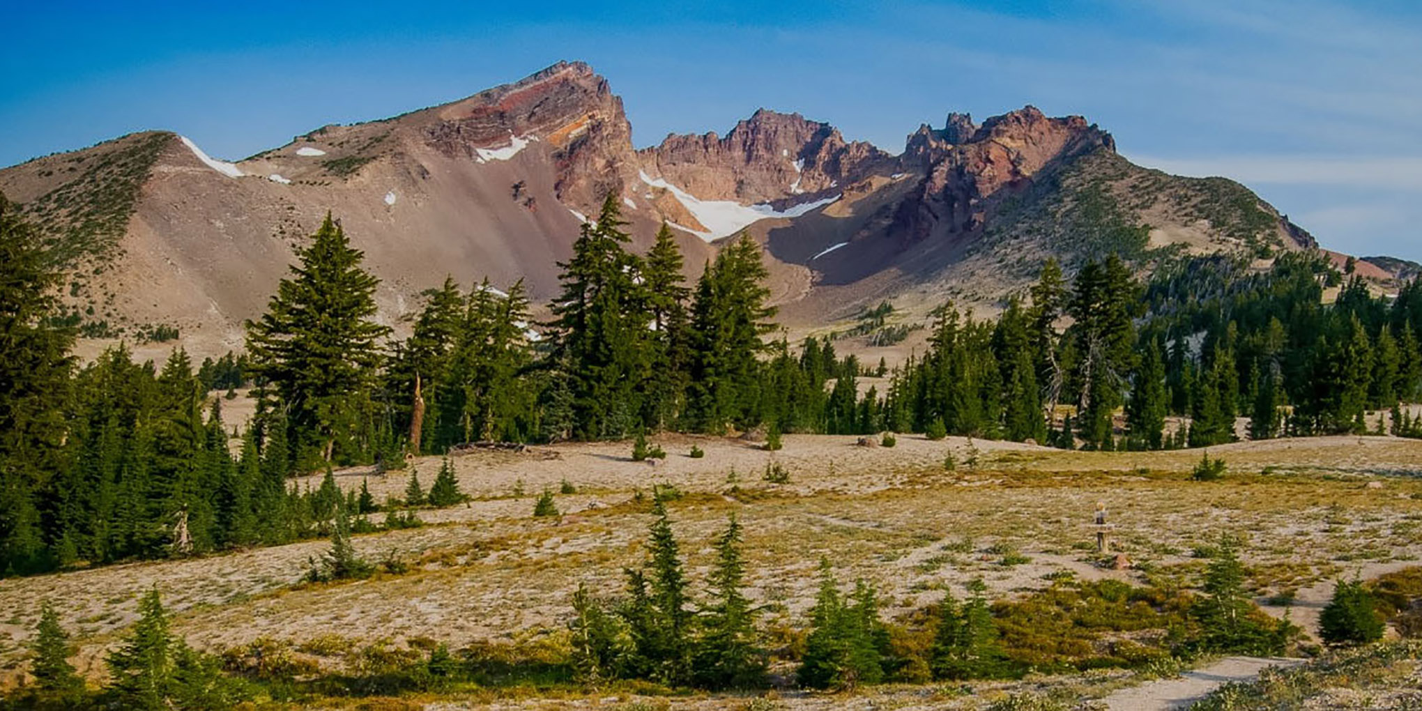 Discover Your Forest + US Forest Service: Strategic consulting uncovers new opportunities to engage visitors